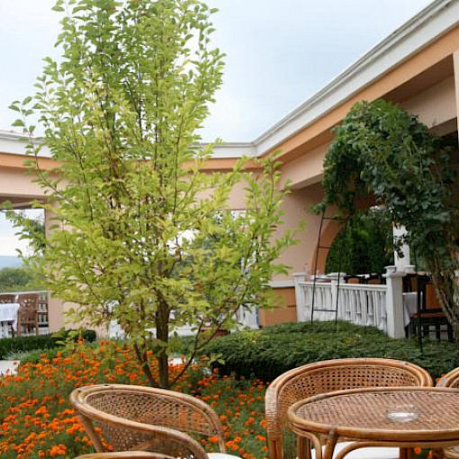 Holiday Village